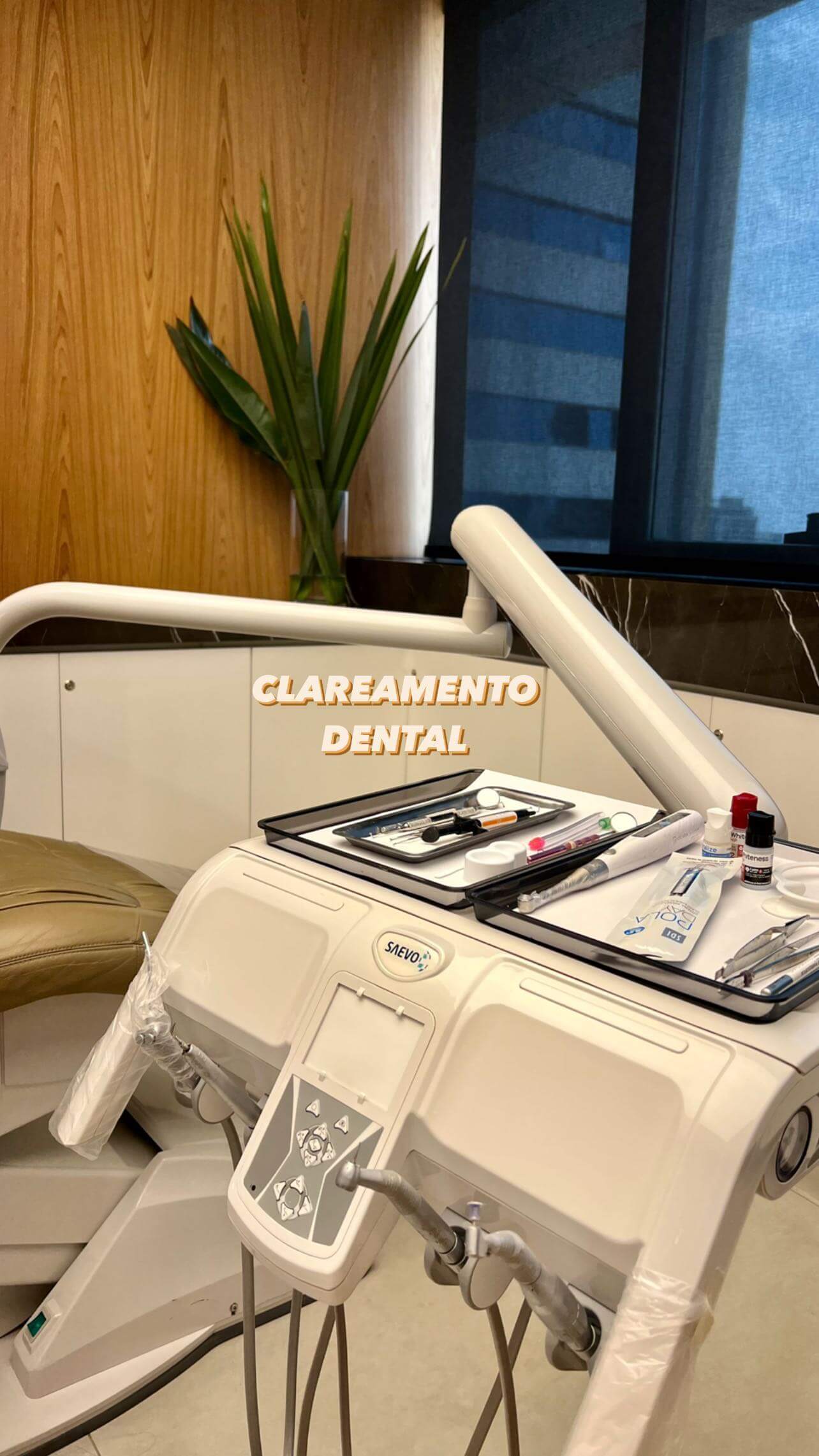 Consultório Odontológico Dra. Scarlett Alves - Recepção